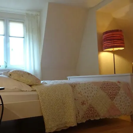 Ferienwohnung Loma Bad Harzburg Buitenkant foto